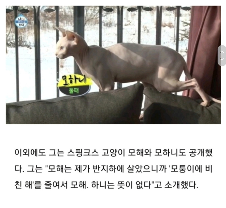 나혼자 산다 출연 배우 파양 논란