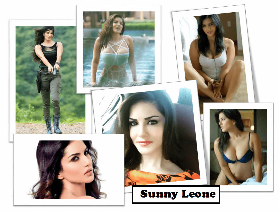 S급 서양 배우 확장판