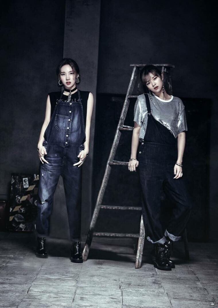 트와이스 애증의 쌍연 나연,정연