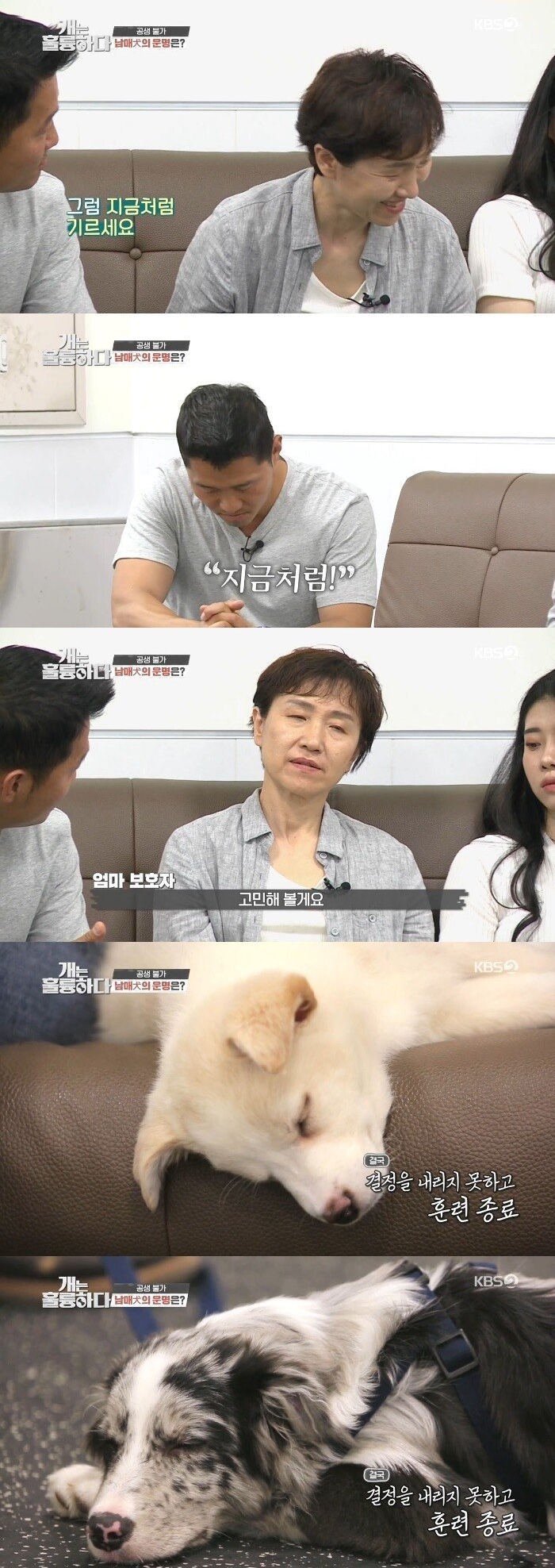 강형욱도 포기한 역대급 개 주인