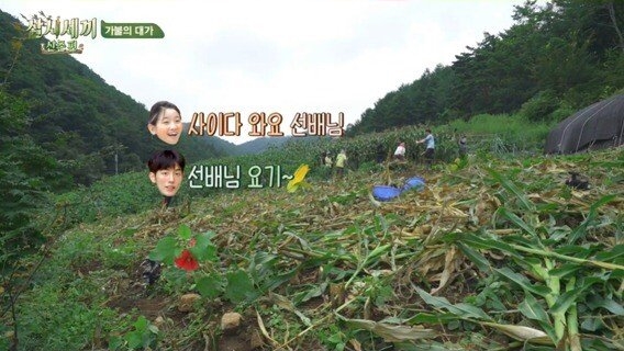 남주혁 정도는 되어야 분위기 띄울 수 있는 드립