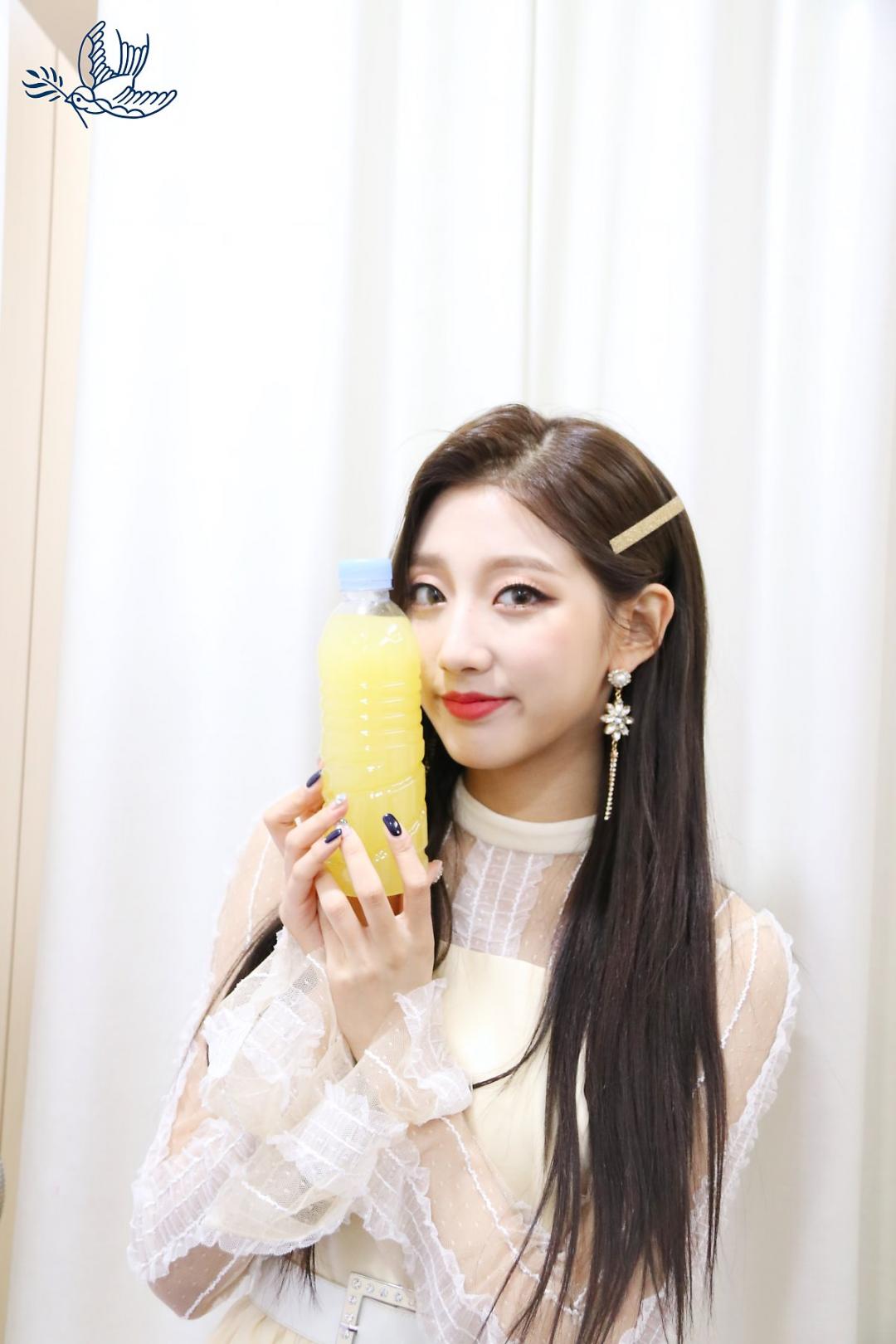 Lovelyz 소중했던 기억들로 Rewind 스압~