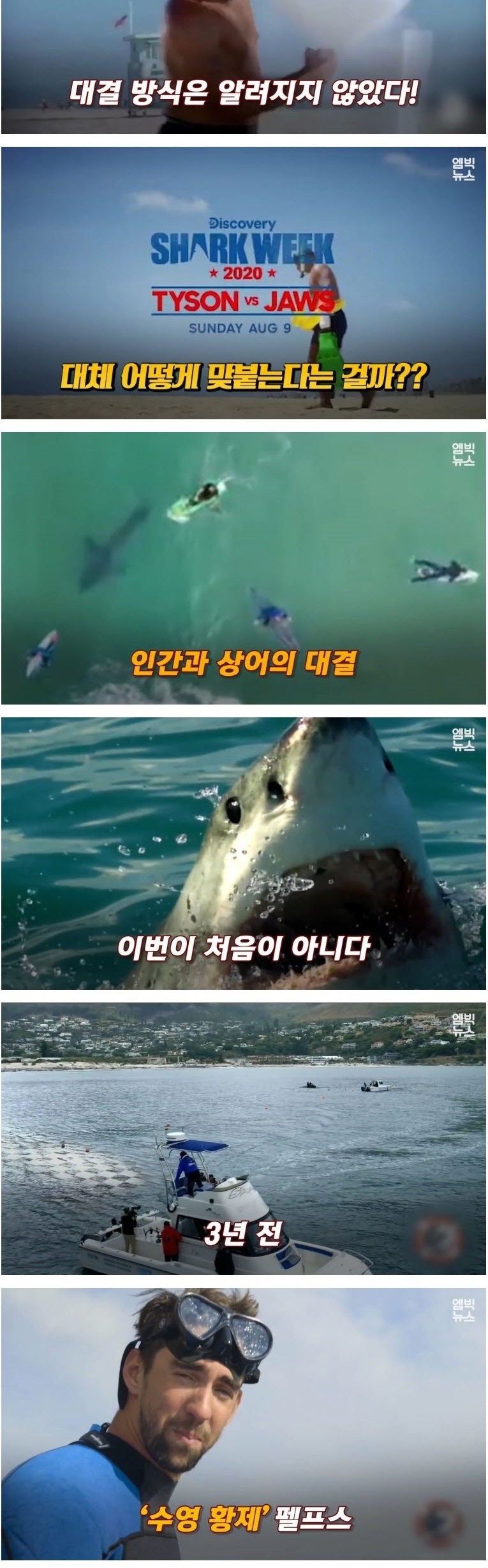 인간 VS 동물 기상천외한 승부