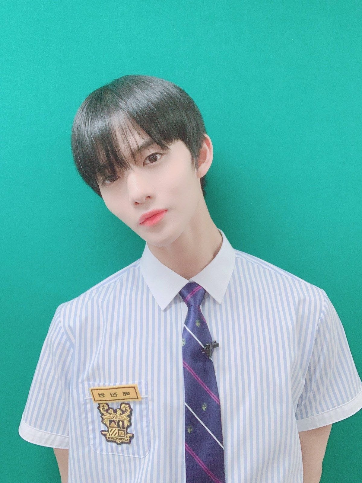 워너원 배진영 교복핏 비율 쩌내