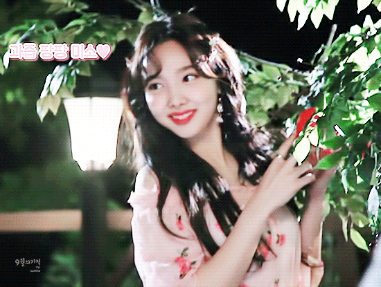 트와이스 Fantasy park DVD Behind 승ㅈ.......나연 움짤