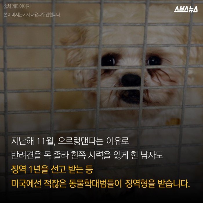 고양이 600마리 살해, 집행유예 2년 선고