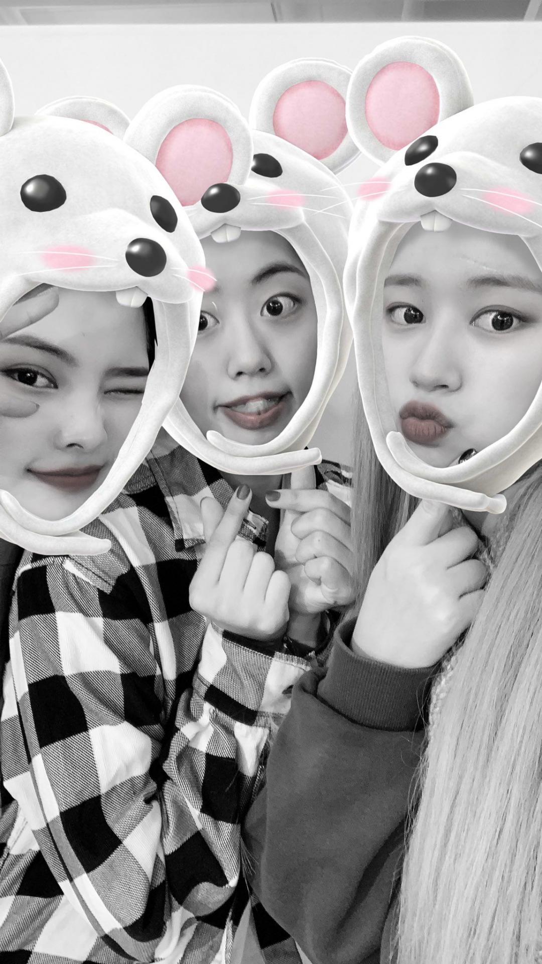 위키미키 리나