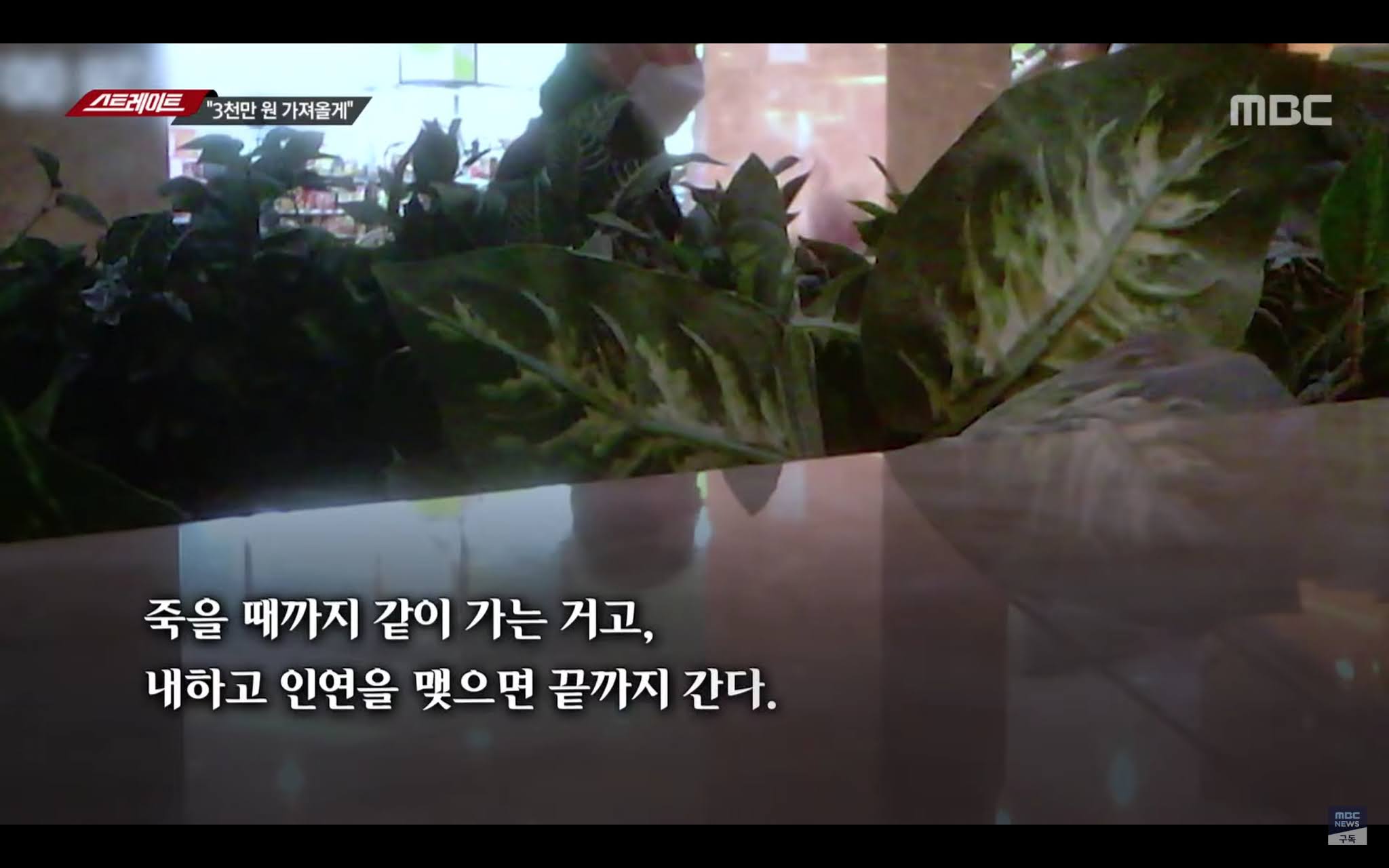 비리 취재하러 온 기자에게 대놓고 뇌물 제의