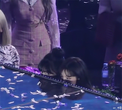 미어캣 트와이스
