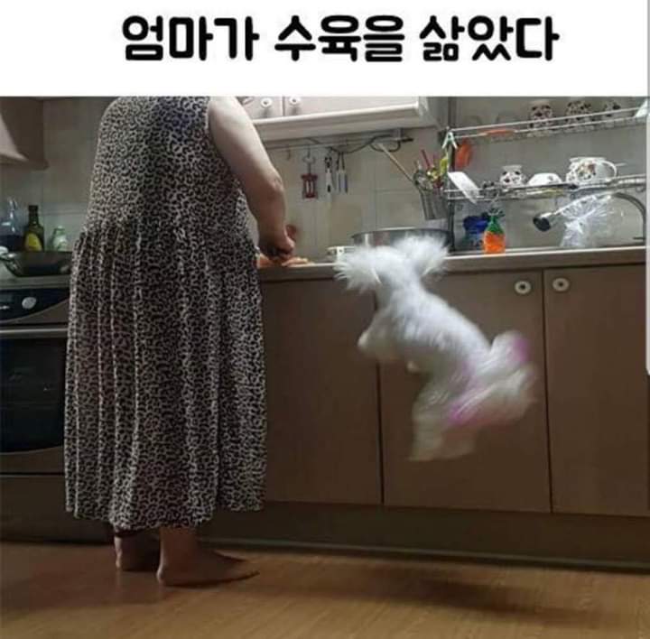 개신남