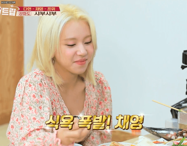 급식단 봄투어