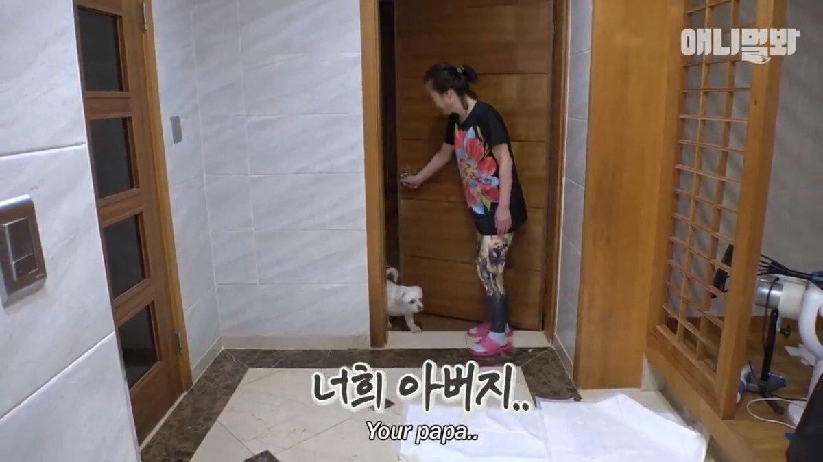 희귀 견종 말스키