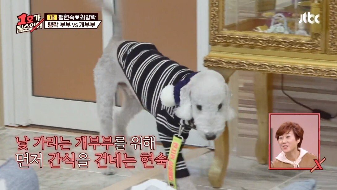 개라면 질색하던 최양락