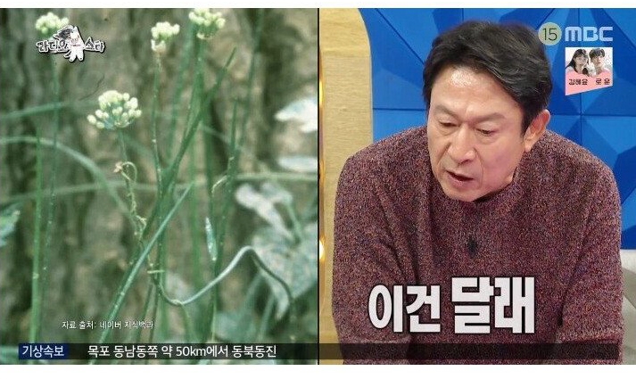 나물박사 곽철용