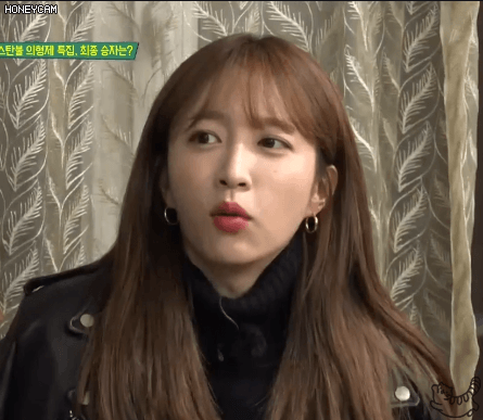 쫄보 하니