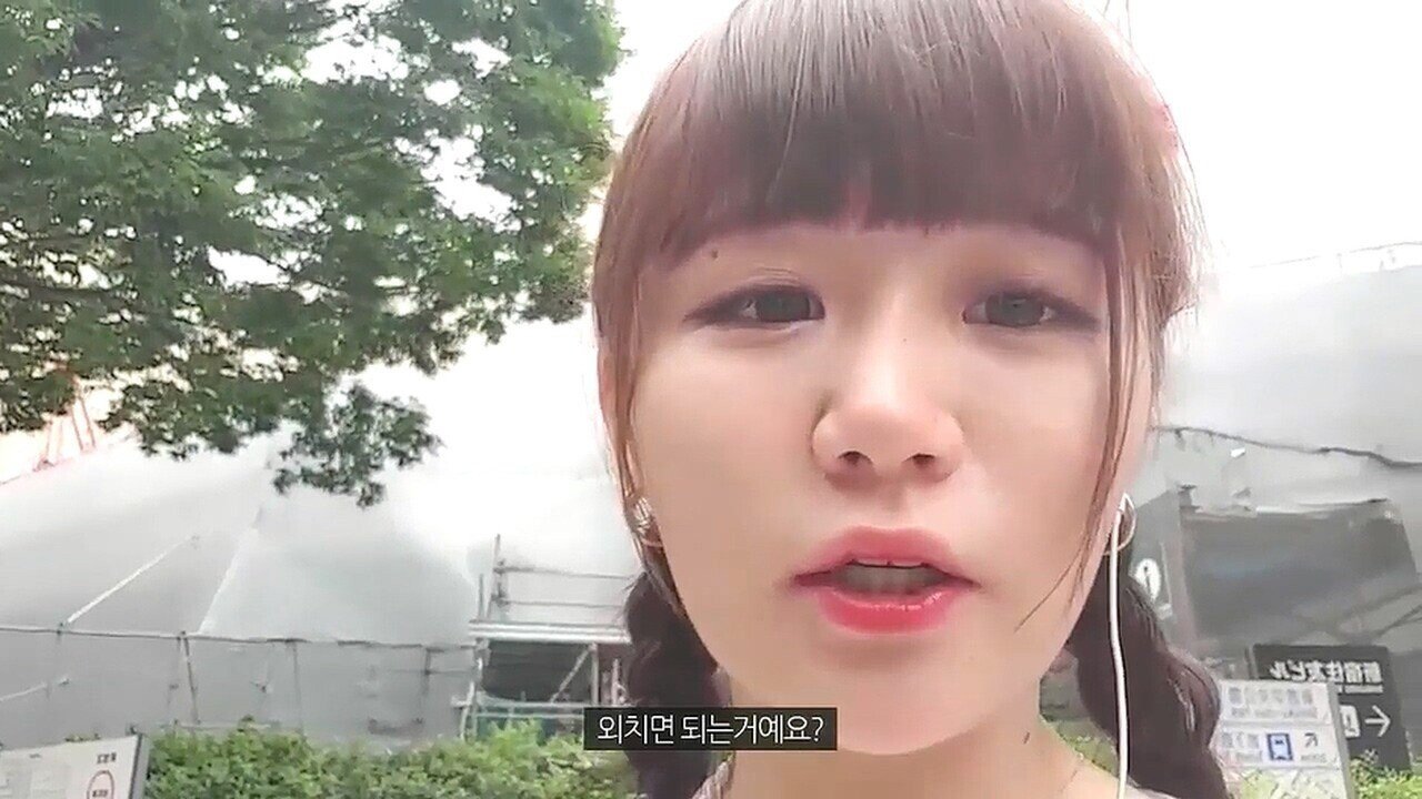 명불허전 손가락 애국자들