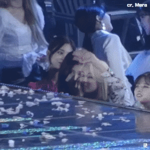 미어캣 트와이스