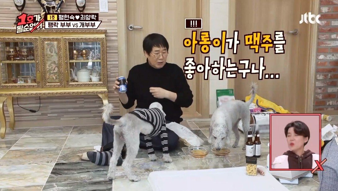 개라면 질색하던 최양락
