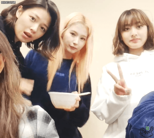 콘서트후 나연 모모 사나 다현 지효
