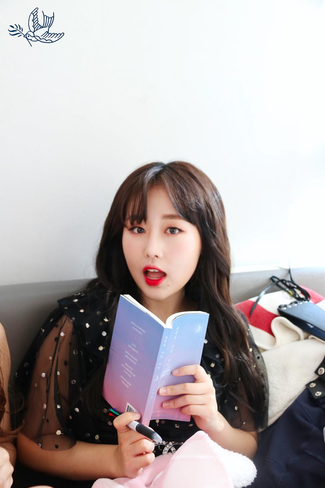 Lovelyz 소중했던 기억들로 Rewind 스압~