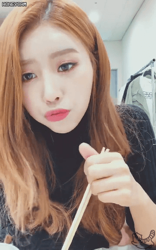 매를 버는 예인이 + 미주
