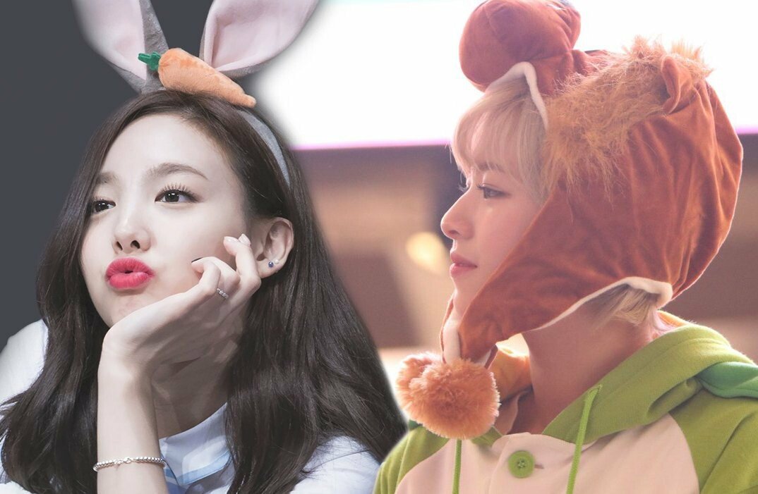 트와이스 애증의 쌍연 나연,정연