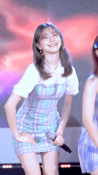 백지헌