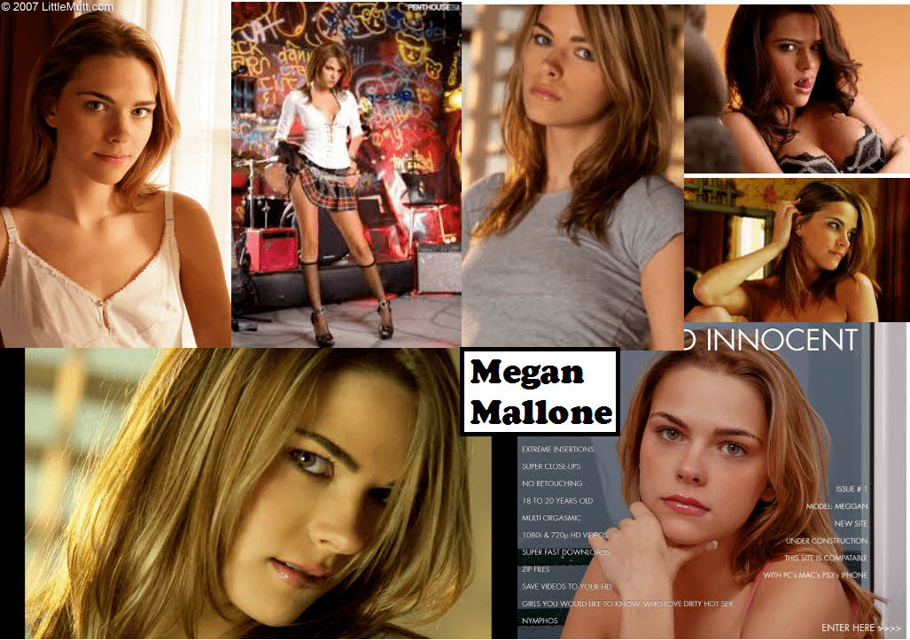 S급 서양 배우 확장판