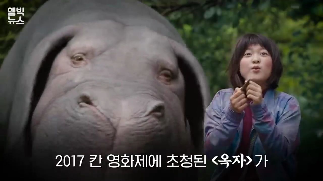 봉준호의 영화인생