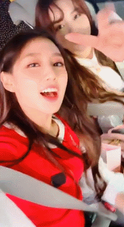차에서 예인 케이