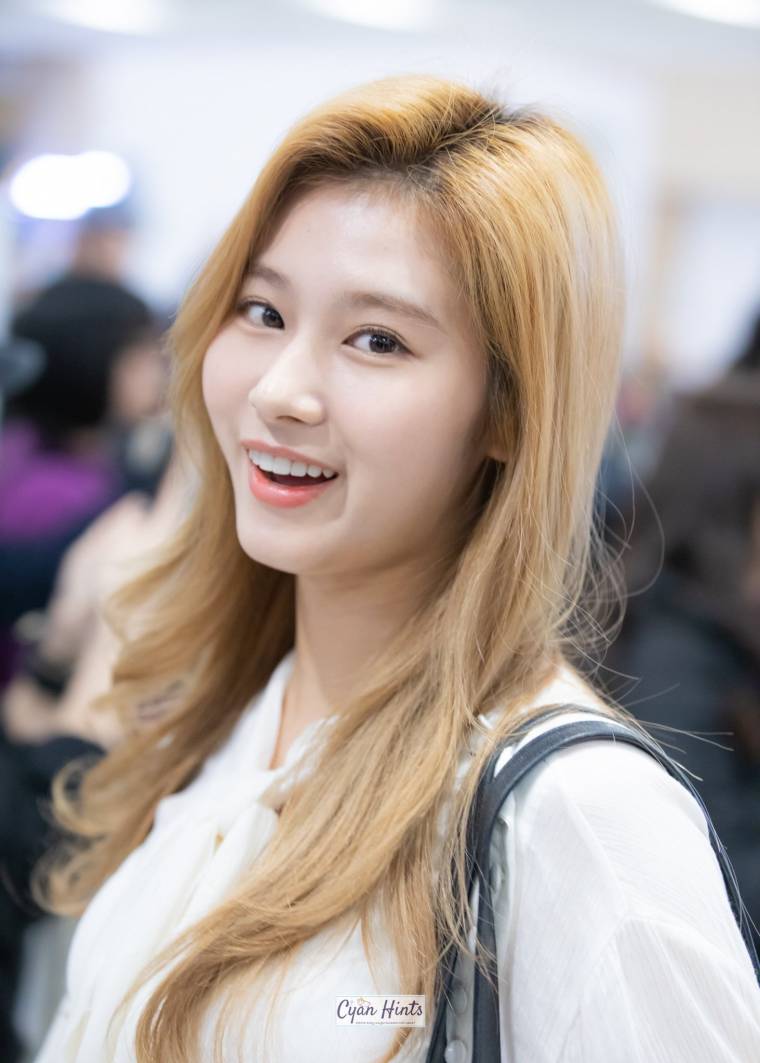 트와이스 미나 / 사나 / 쯔위