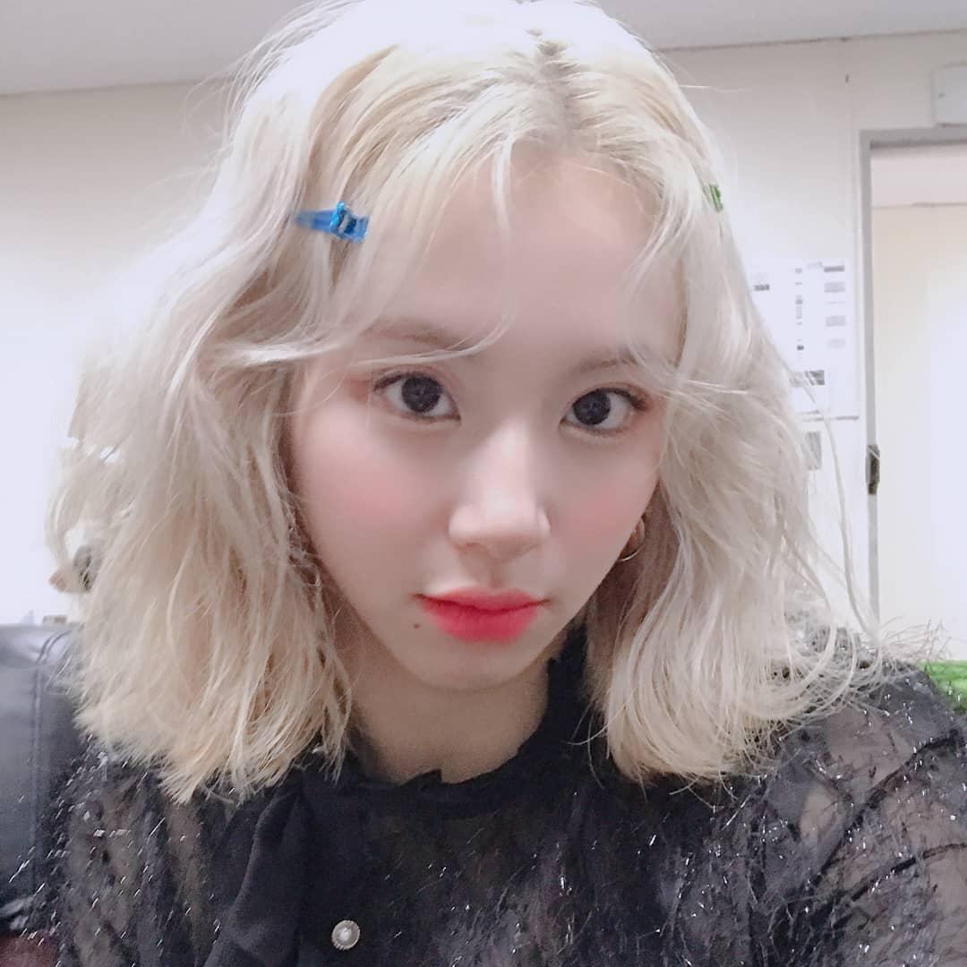 twicetagram 둡챙