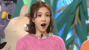 동농 장예원 아나운서