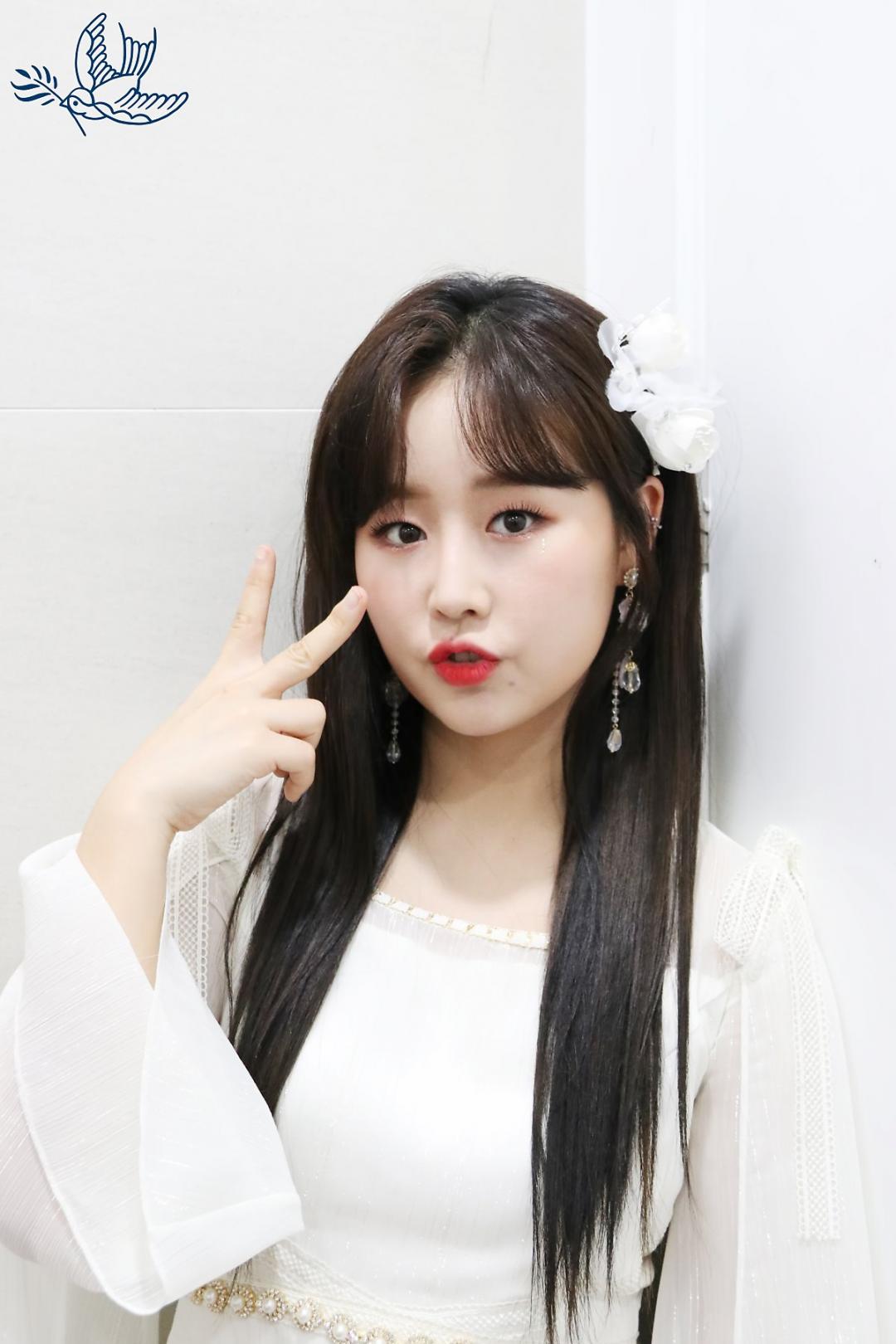 Lovelyz 소중했던 기억들로 Rewind 스압~