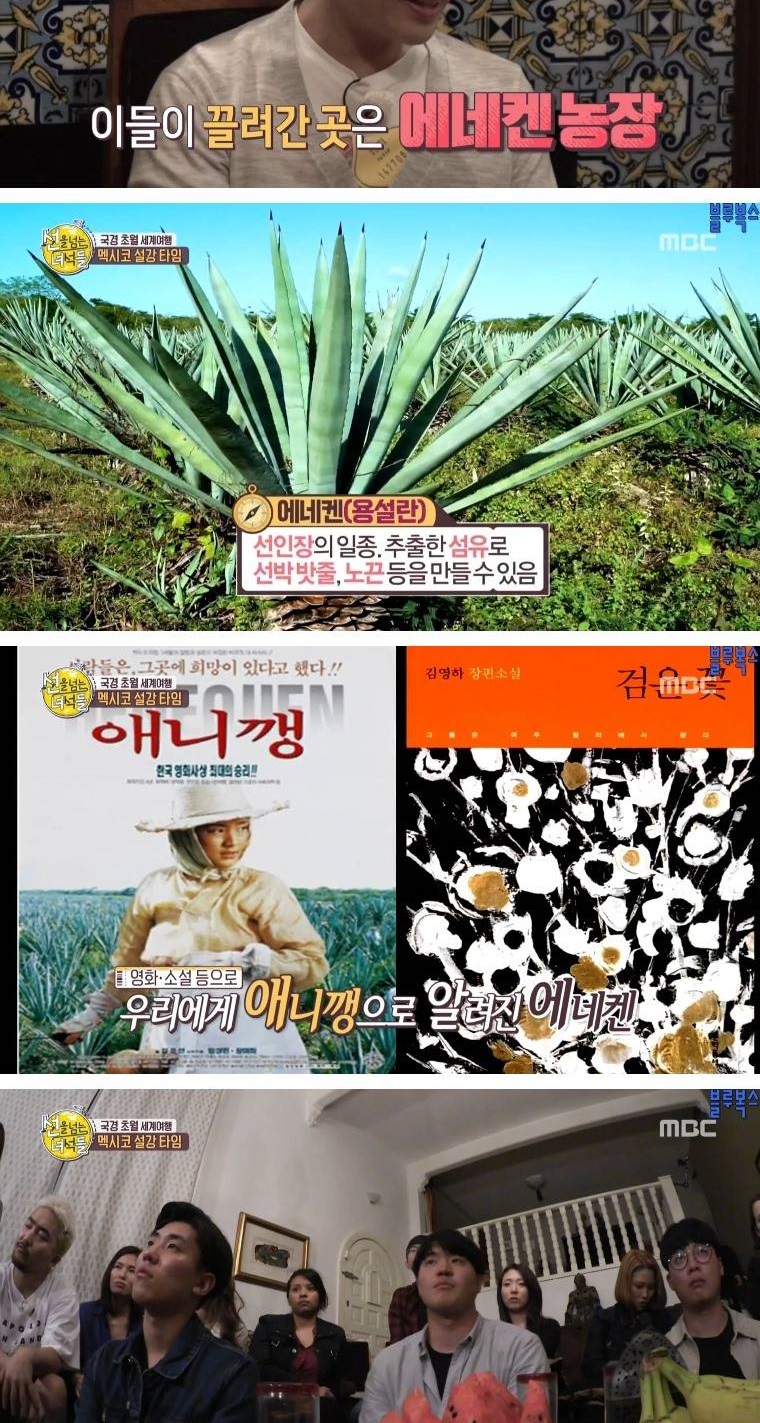 멕시코로 갔던 첫 조선인들