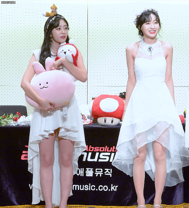 귀염 터지는 여우