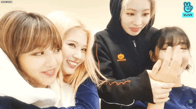 콘서트후 나연 모모 사나 다현 지효