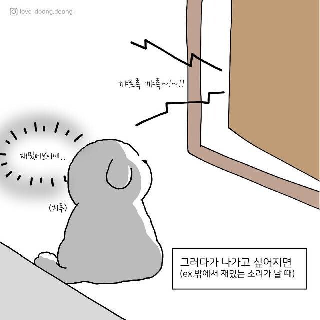 주인을 보호하기 위해 댕댕이가 하는 행동