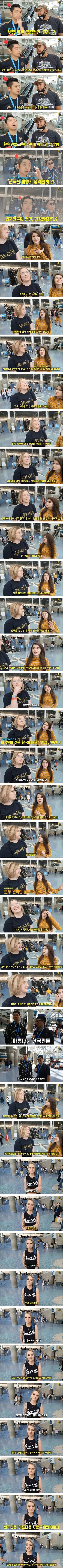미국인들에게 물어본 한국인에 대한 편견
