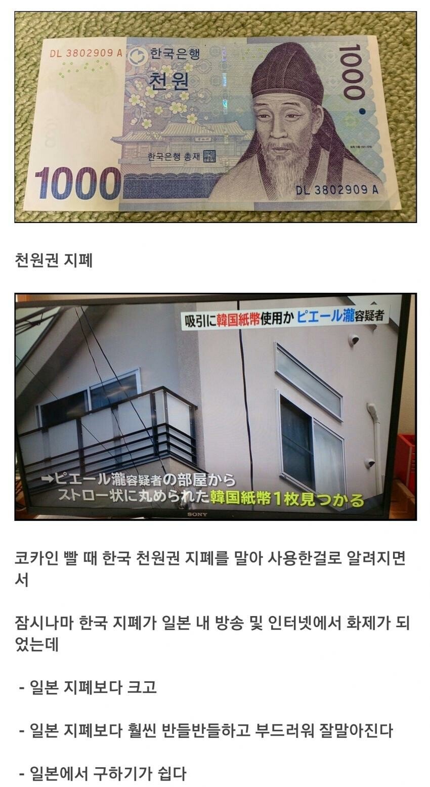 진정한 국뽕