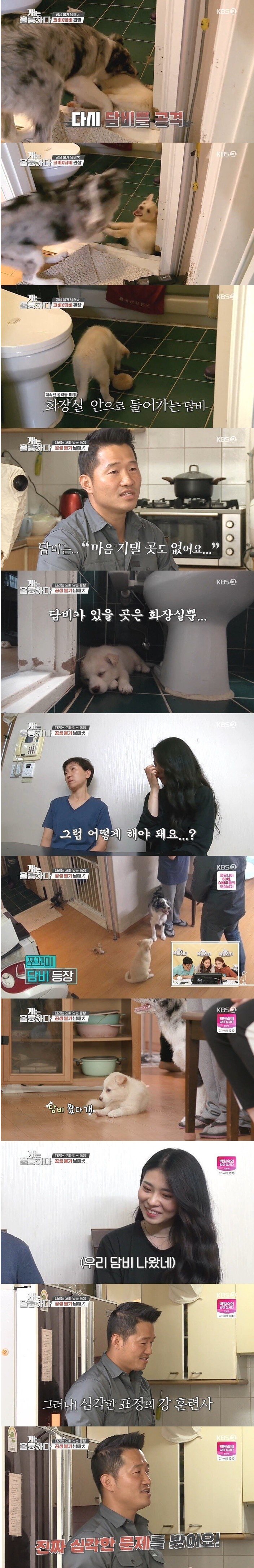 강형욱도 포기한 역대급 개 주인