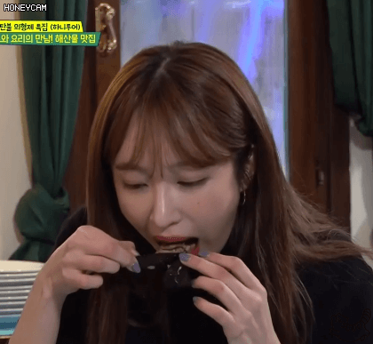 쫄보 하니