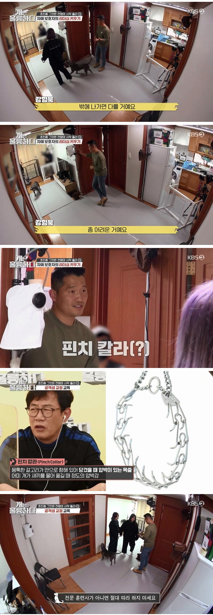 아메리칸 불리를 키우는 자매