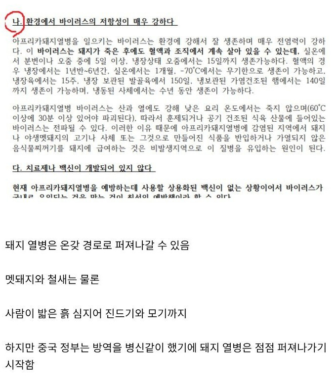 돼지열병이 한국으로 들어온 경로