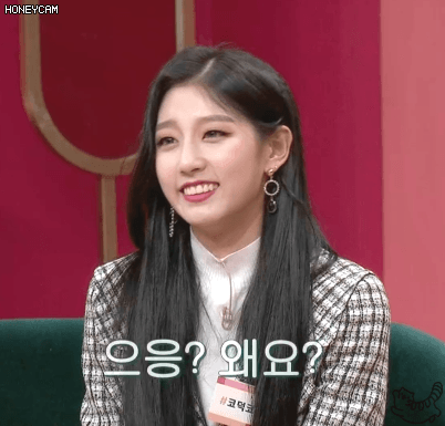 겟이뷰티 코라니