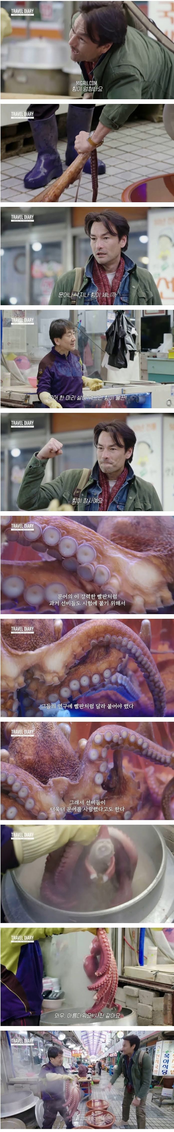 안동 문어와 고등어