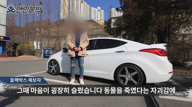 고속도로 로드킬