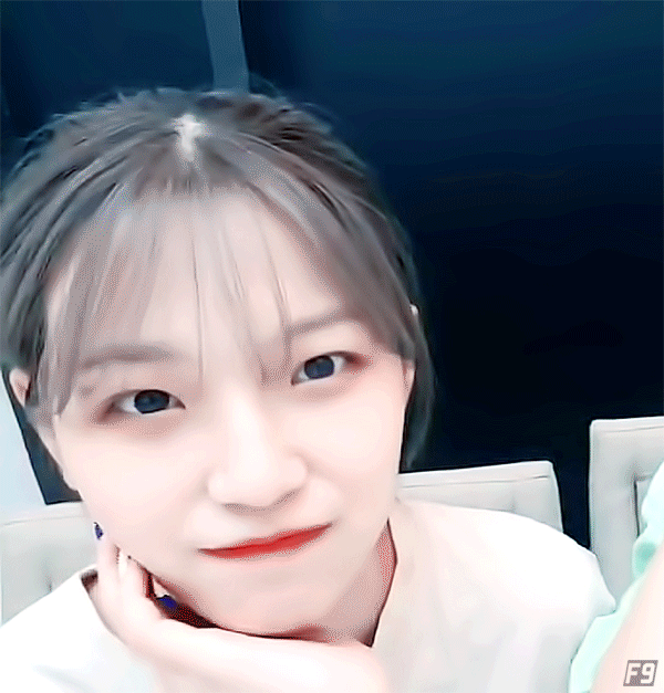프로미스나인 백지헌 입덕 데이터