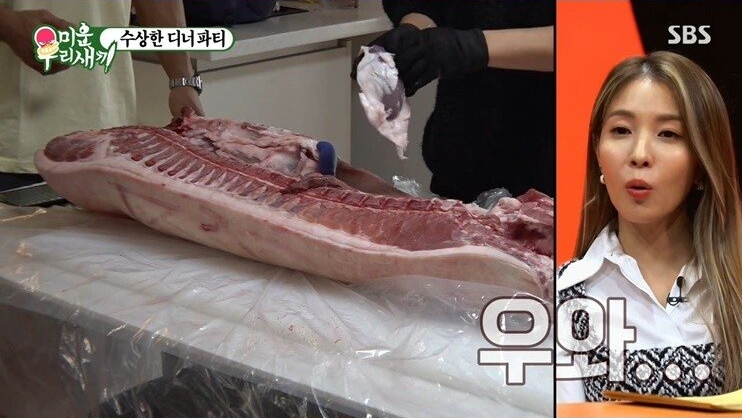돼지 해체로 이두운동 하시는 분