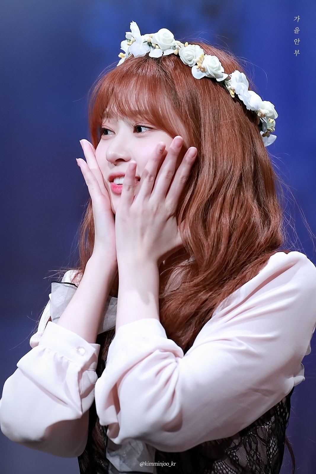 1일 1민주 1일차